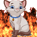 ASHSON's Avatar